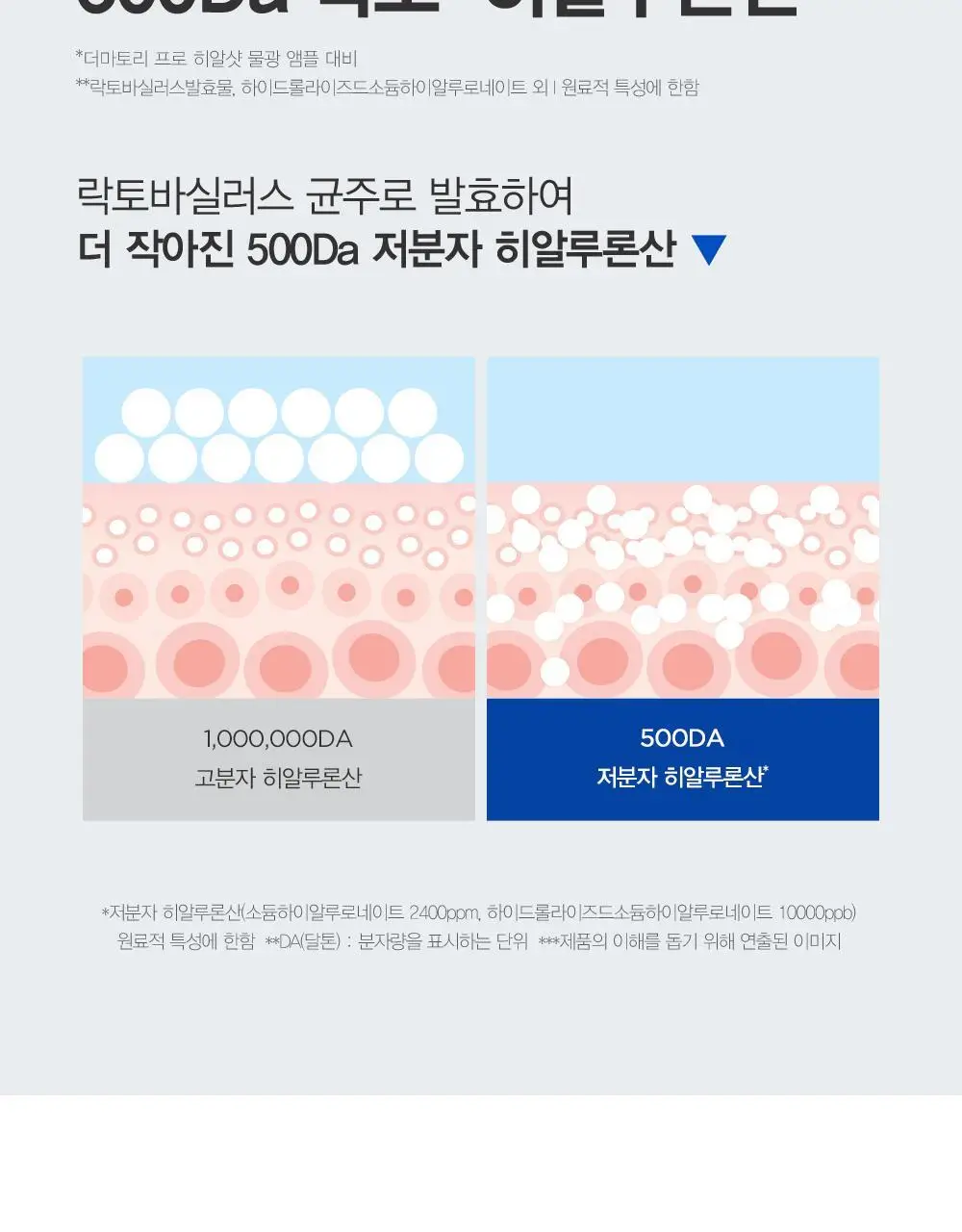 [1+1] 더마토리 히알샷 베리어 크림 B5 70ml 1+1 기획 상세페이지 10